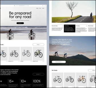 proj10